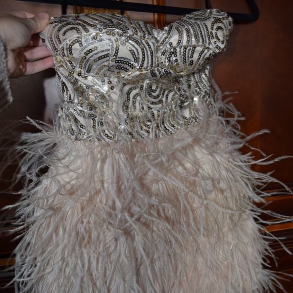 Feather Dress - Picture 1 of 5